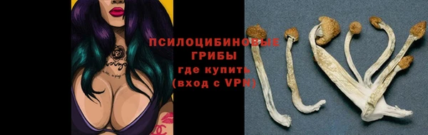 spice Арсеньев