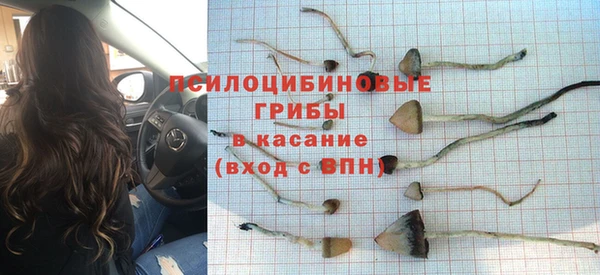 spice Арсеньев